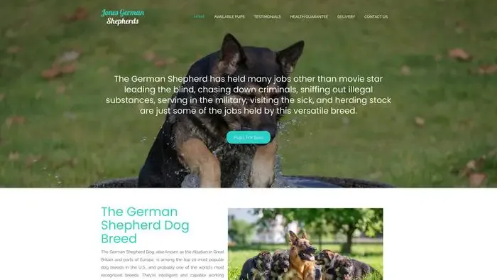 Screenshot of