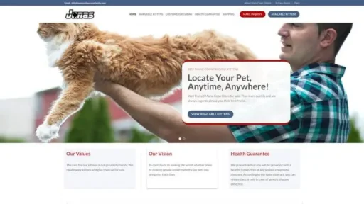 Screenshot of