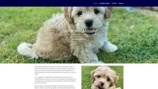 Screenshot of