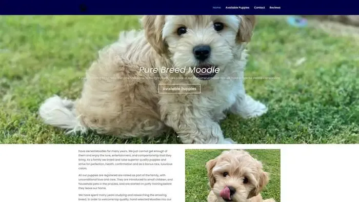 Screenshot of