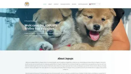 Screenshot of