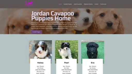 Screenshot of