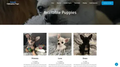 Screenshot of