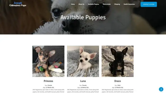 Screenshot of