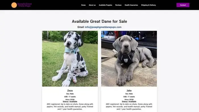 Screenshot of