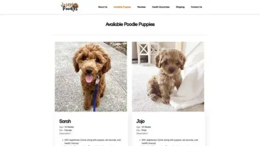 Screenshot of