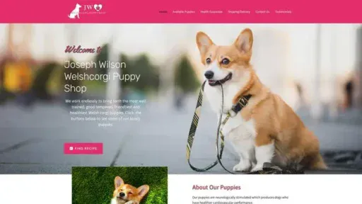 Screenshot of