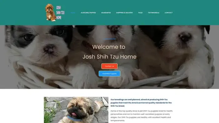 Screenshot of