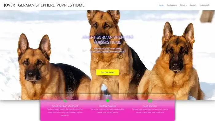 Screenshot of