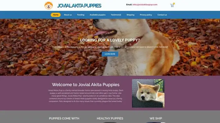 Screenshot of