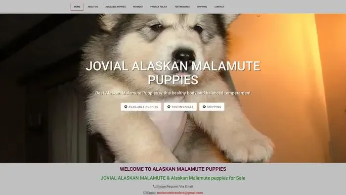 Screenshot of