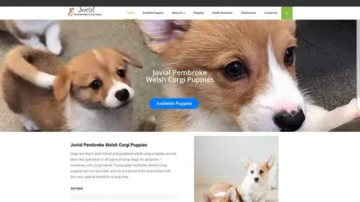 Screenshot of