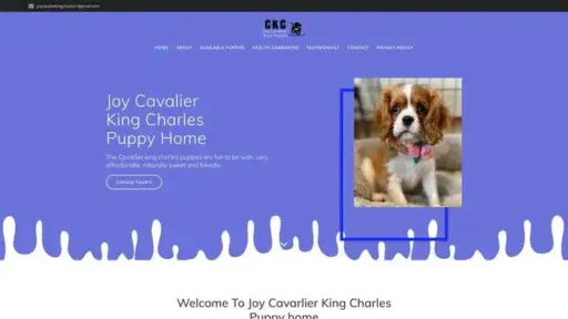 Screenshot of