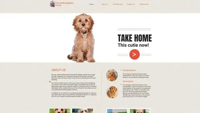 Screenshot of