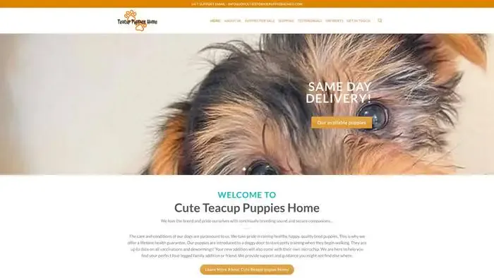 Screenshot of