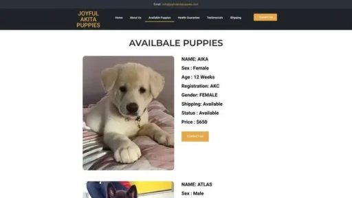 Screenshot of