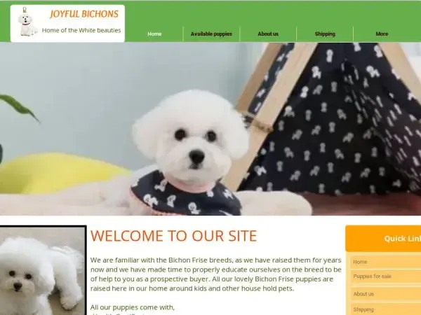 Screenshot of