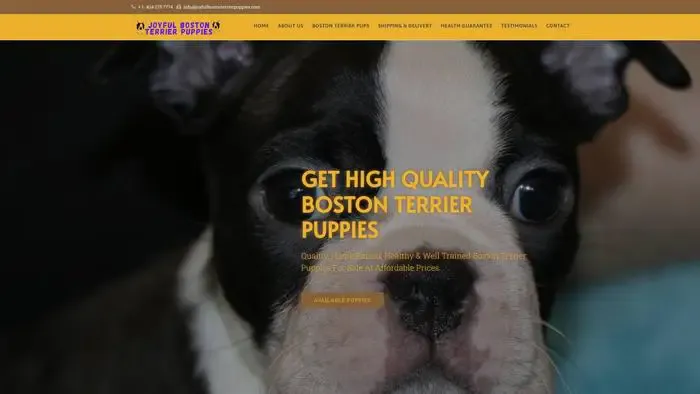 Screenshot of