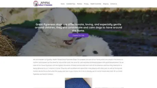 Screenshot of