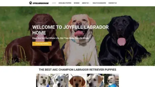 Screenshot of