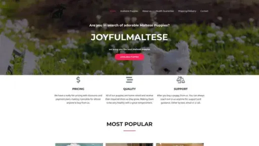 Screenshot of