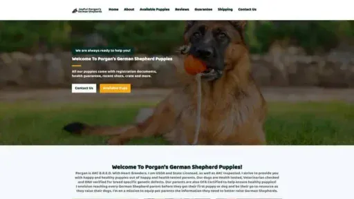 Screenshot of