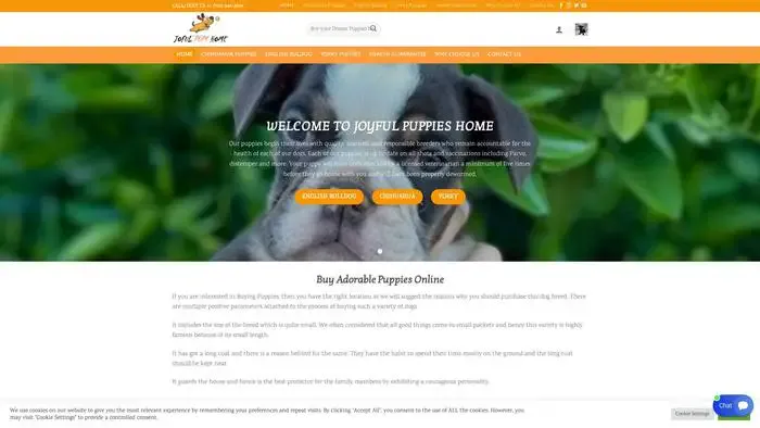 Screenshot of