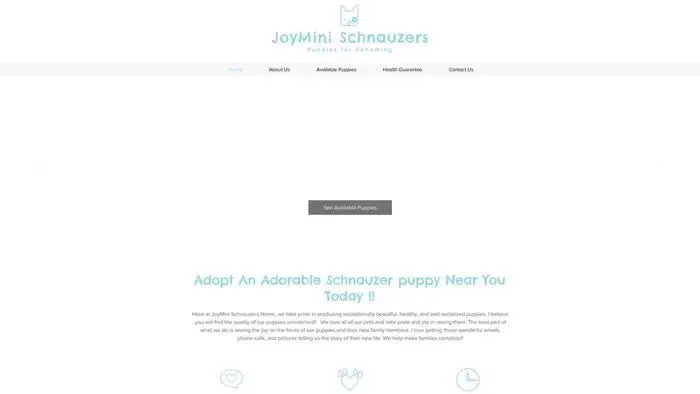 Screenshot of