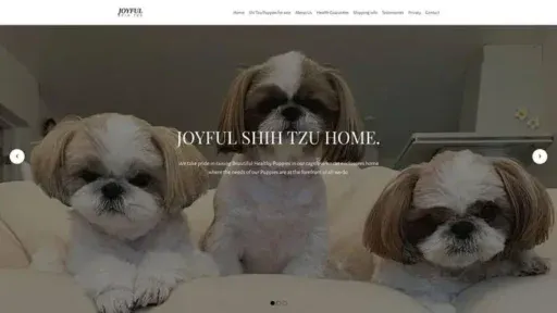 Screenshot of