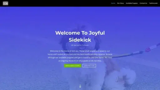 Screenshot of
