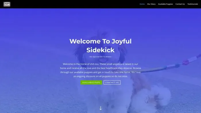 Screenshot of