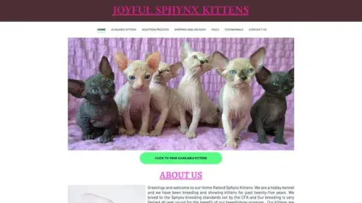 Screenshot of