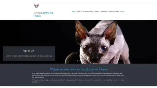 Screenshot of