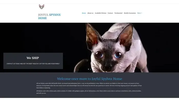 Screenshot of
