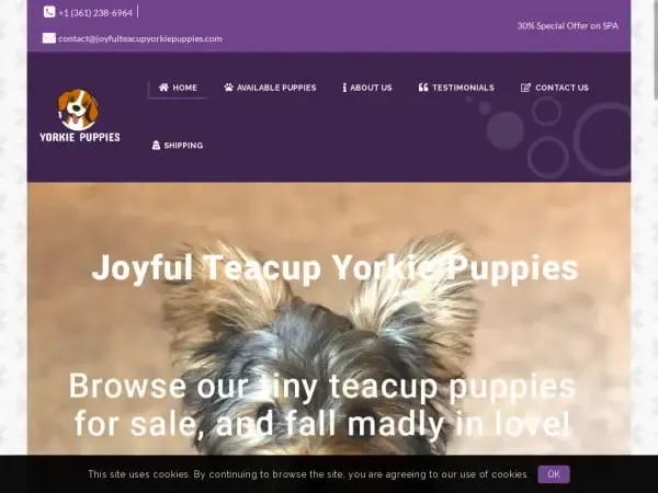 Screenshot of