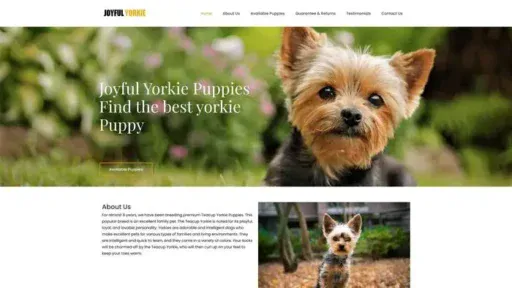 Screenshot of