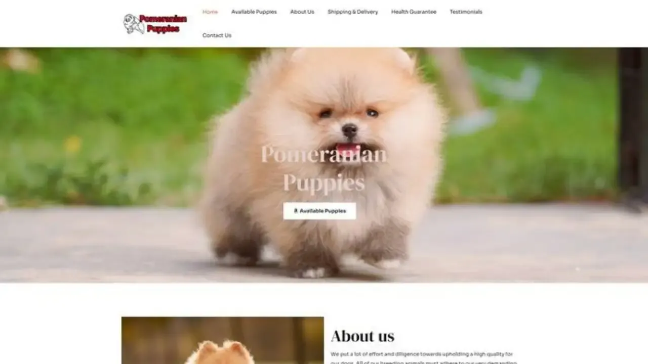 Joygiverpomeranian