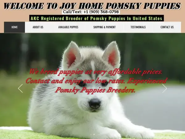 Screenshot of