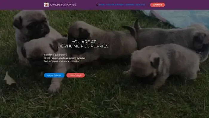 Screenshot of