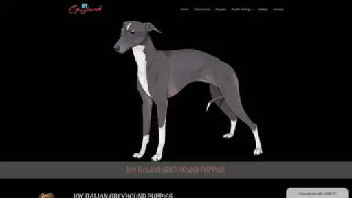 Screenshot of