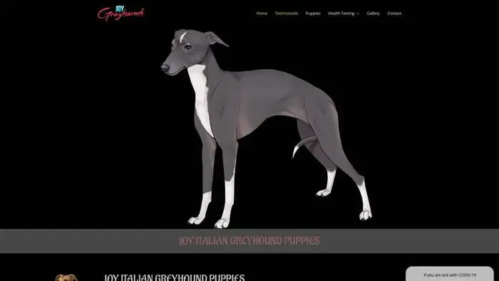 Screenshot of