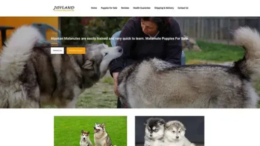 Screenshot of