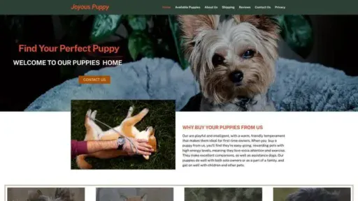 Screenshot of