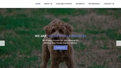 Screenshot of