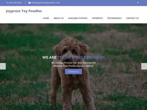 Screenshot of