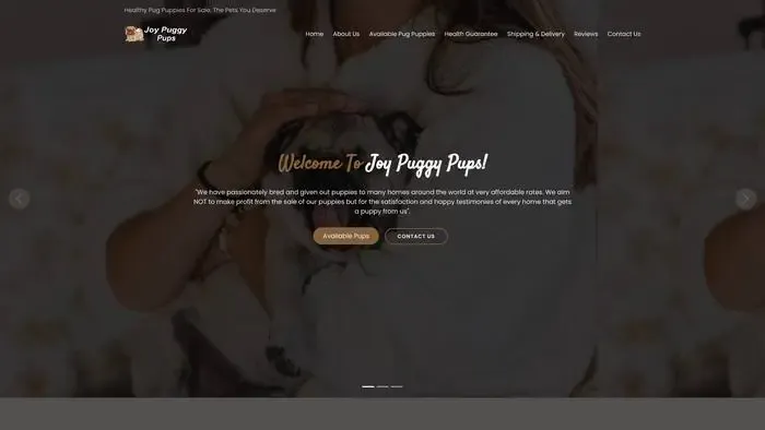 Screenshot of