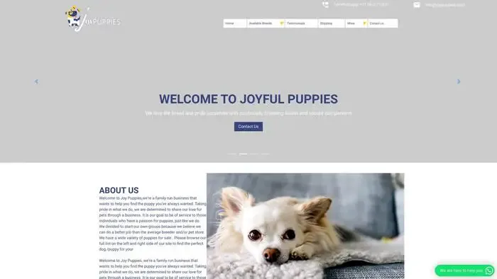 Screenshot of