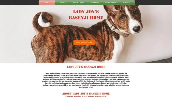 Screenshot of