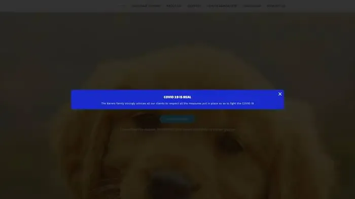 Screenshot of