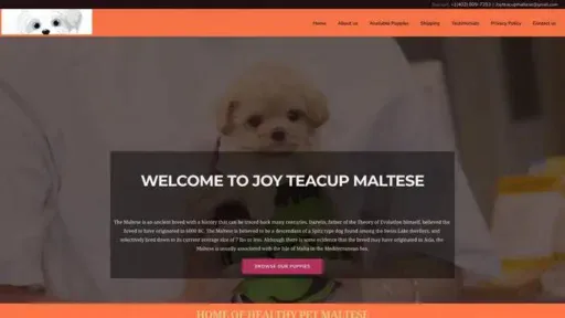 Screenshot of